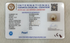 Natural Pearl 6.44 Ratti IGCDKBAJ42566 IGC certificate