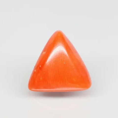 Natural Red Italian Coral |8H50|Triangular Cabochon | Govt. Lab Certified | Report No.11836D47509