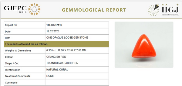 Natural Red Italian Coral |8H50| Triangular Cabochon | Govt. Lab Certified | Report No. 11836D47513