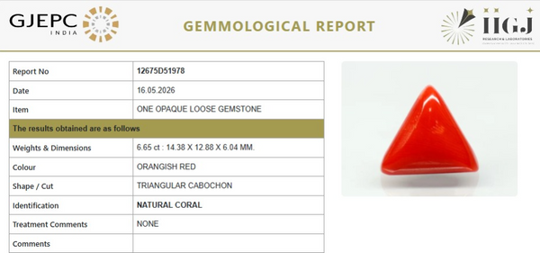 Natural Red Italian Coral |8H50| Triangular Cabochon | Govt. Lab Certified | Report No. 12675D51978