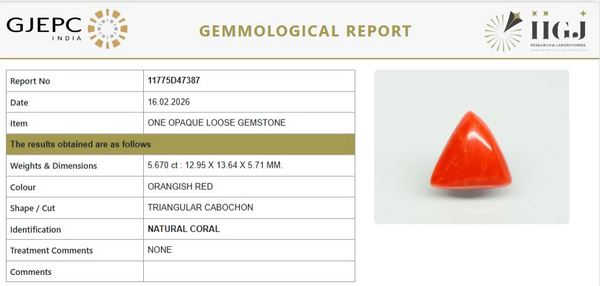 Natural Red Italian Coral |7H50| Triangular Cabochon | Govt. Lab Certified | Report No. 11775D47387