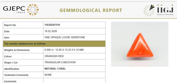 Natural Red Italian Coral |7H50| Triangular Cabochon | Govt. Lab Certified | Report No. 11836D47510