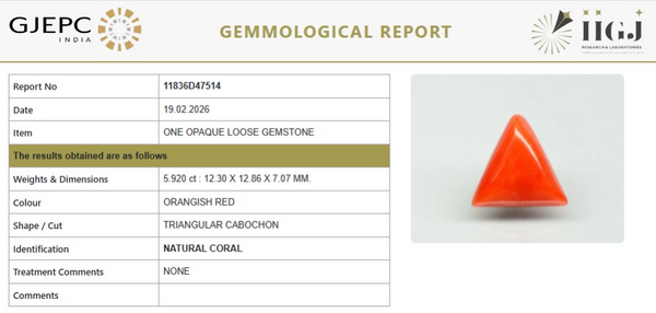 Natural Red Italian Coral |7H50|Triangular Cabochon | Govt. Lab Certified | Report No. 11836D47514