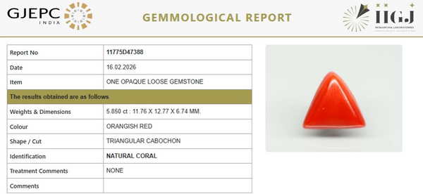 Natural Red Italian Coral |7H50| Triangular Cabochon | Govt. Lab Certified | Report No. 11775D47388