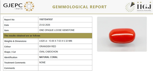 Natural Red Italian Coral |5H50| Oval Cabochon | Govt. Lab Certified | Report No. 11877D47657
