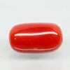 Natural Red Italian Coral |5H50| Cushion Cabochon | Govt. Lab Certified | Report No. 11877D47664