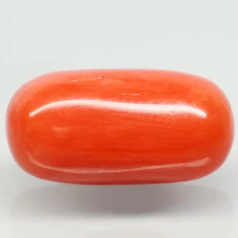 Natural Red Italian Coral |5H50| Oval Cabochon | Govt. Lab Certified | Report No. 12675D51966