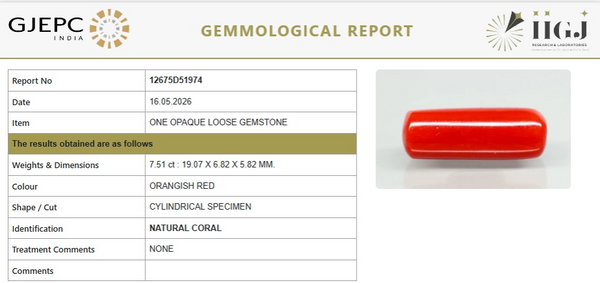 Natural Red Italian Coral |6H50| Cylindrical Specimen| Govt. Lab Certified | Report No. 12675D51974