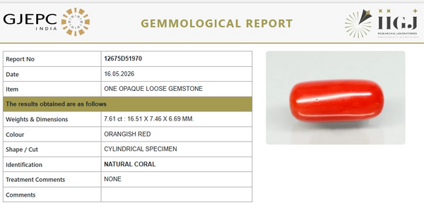 Natural Red Italian Coral |6H50| Cylindrical Specimen| Govt. Lab Certified | Report No. 12675D51970