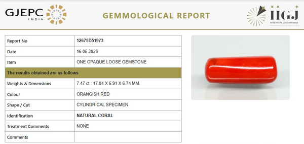 Natural Red Italian Coral |6H50| Cylindrical Specimen| Govt. Lab Certified | Report No. 12675D51973