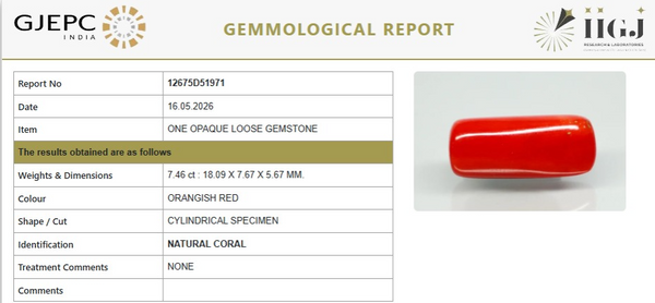 Natural Red Italian Coral |6H50| Cylindrical Specimen| Govt. Lab Certified | Report No. 12675D51971