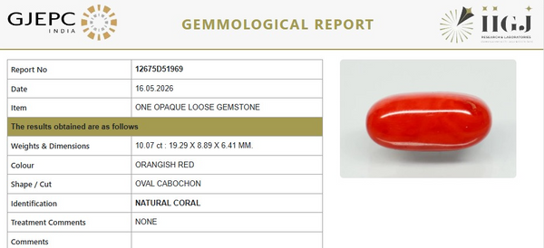 Natural Red Italian Coral |12H50| Oval Cabochon| Govt. Lab Certified | Report No. 12675D51969