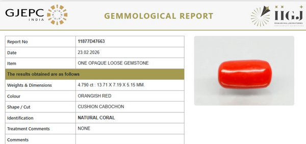 Natural Red Italian Coral |5H50| Cushion Cabochon| Govt. Lab Certified | Report No. 11877D47663