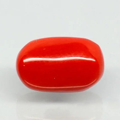 Natural Red Italian Coral |5H50| Oval Cabochon| Govt. Lab Certified | Report No.11877D47665