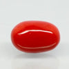 Natural Red Italian Coral |5H50| Oval Cabochon| Govt. Lab Certified | Report No. 11877D47666