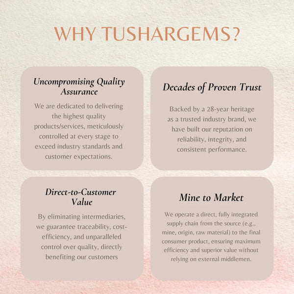 6 Mukhi Natural Rudraksha Premium – Certified Original Bead