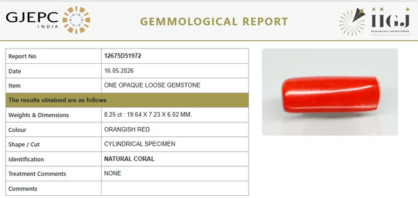 Natural Red Italian Coral |9H50| Cylindrical Specimen| Govt. Lab Certified | Report No. 12675D51972