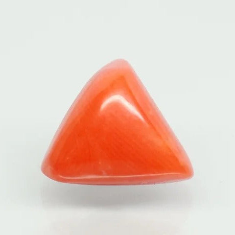 Natural Italian Red Coral (Moonga) | 8H50 | Triangular Cabochon | Govt. Lab Certified | Report No. 11737D47199