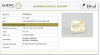 Natural Yellow Sapphire | Cushion Mixed| Transparent | Govt. Lab Certified | Report No. 10979D44348