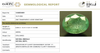 IIGJ certificate 13438D54809 for natural Emerald from Tushar Gems