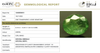 IIGJ certificate 13438D54810 for natural Emerald from Tushar Gems