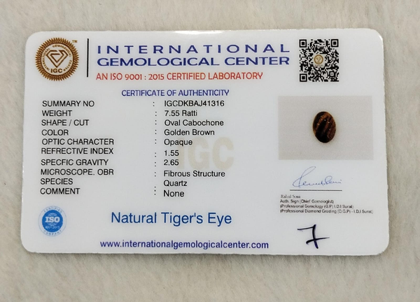 Tiger Eye The Essence of Grounding and Strength Summary No IGCDKBAJ41316
