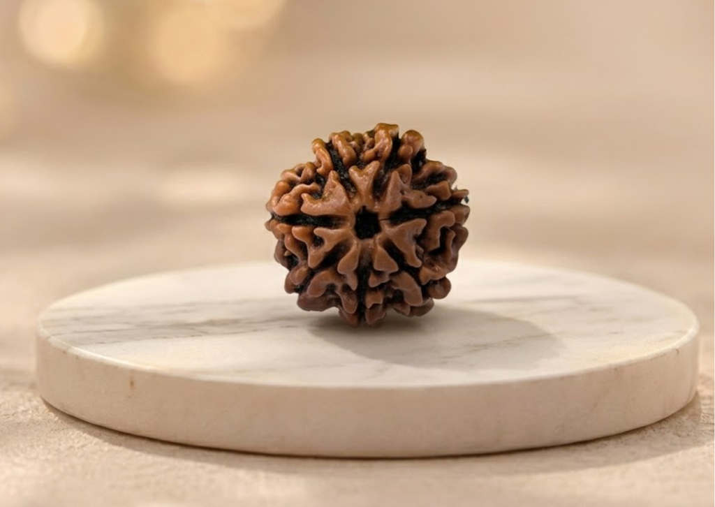 What is rudraksha?  Meaning,Types,Benefits And how to wear it?