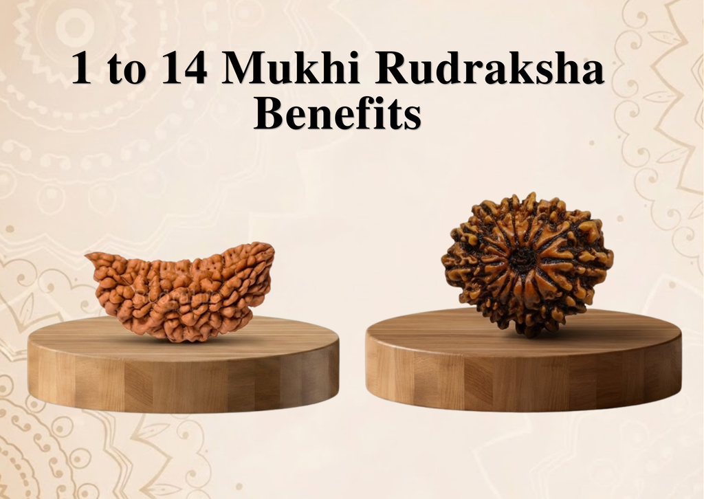 1 to 14 Mukhi Rudraksha Benefits