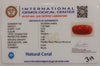 NaturalRed Coral | Certified| Oval CutGemstone Summary No. IGCDKBAJ44923 image 2