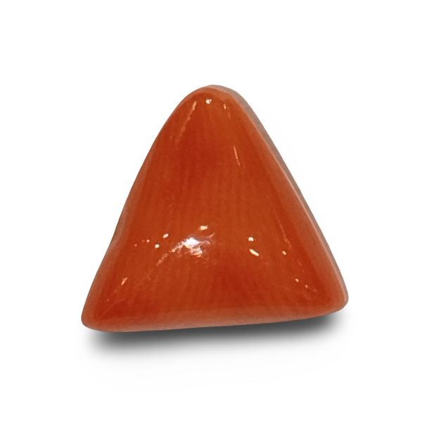 Natural Italian Red Coral | Certified Triangular Cabochon Moonga | Untreated Gemstone IGCDKBAJ42368 image 0