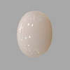 Natural White Coral: The Symbol of Peace and Strength Summary No IGCDKBAJ44680 image 1
