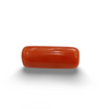 Natural Red Coral | Certified |Capsule Cut Gemstone Summary No. IGCDKBAJ44969 image 0