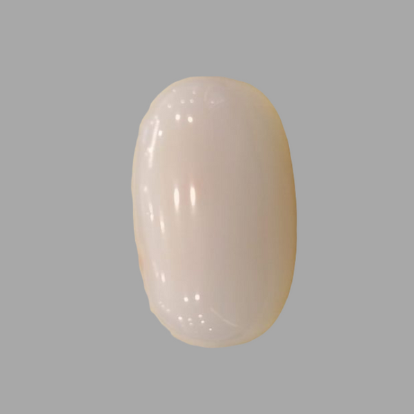 Natural White Coral: The Symbol of Peace and Strength Summary No IGCDKBAJ41489 image 1