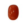 NaturalRed Coral | Certified| Oval CutGemstone Summary No. IGCDKBAJ47486 image 1