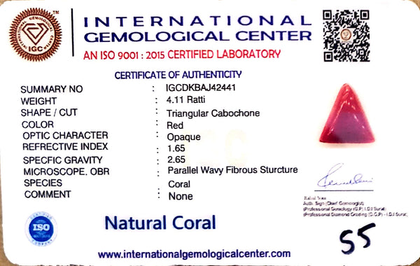Natural Italian Red Coral | Certified Triangular Cabochon | Untreated Coral Gemstone Summary No. IGCDKBAJ42441 image 1