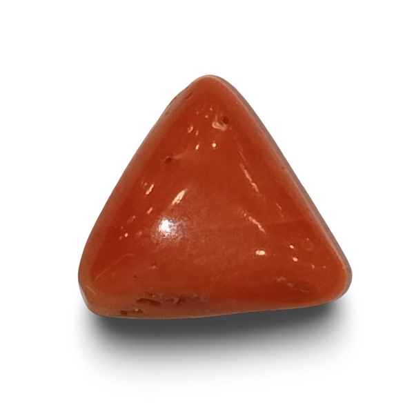 Natural Italian Red Coral | Certified Triangular Cabochon Gemstone IGC (Summary No. IGCDKBAJ42427) image 0