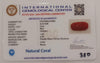 Natural Red Coral | Certified | Oval Cut Gemstone Summary No. IGCDKBAJ44992 image 2