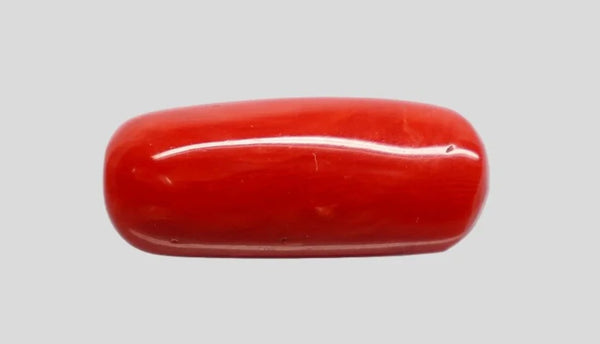 Natural Italian Red Coral (Moonga) cylindrical specimen, report no. 13486D55320