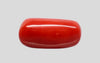 Natural Italian Red Coral (Moonga) cylindrical specimen, report no. 13486D55321