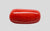 Natural Italian Red Coral (Moonga) cylindrical specimen, report no. 13486D55321