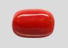 Natural Red Italian Coral 14H50 Cushion Cabochon - Report No. 13486D55323