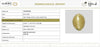 IIGJ Certificate 13487D55338 – Natural Cat's Eye