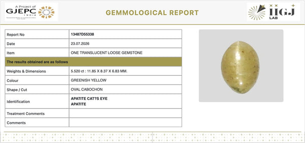 IIGJ Certificate 13487D55338 – Natural Cat's Eye