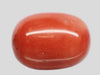 Natural Red Italian Coral 16H50 Oval Cabochon - Report No. 13487D55346