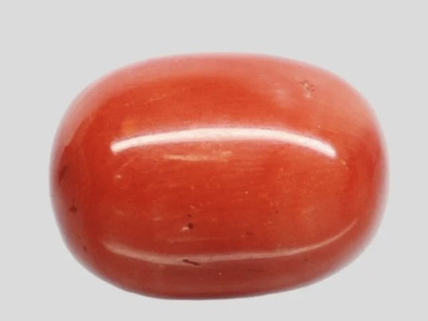 Natural Red Italian Coral 16H50 Oval Cabochon - Report No. 13487D55346
