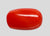 Natural Italian Red Coral (Moonga) oval cabochon, report no. 13762D56717