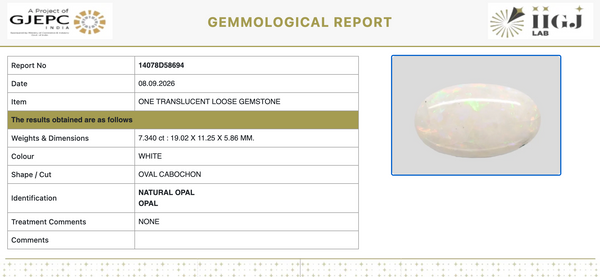 IIGJ Certificate 14078D58694