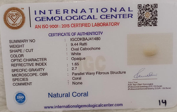 Natural White Coral: The Symbol of Peace and Strength Summary No IGCDKBAJ41480 image 2