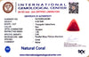 Natural Italian Red Coral | Certified Triangular Cabochon Moonga | Untreated Gemstone IGCDKBAJ42386 image 1