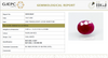 Natural Purplish Red Ruby | Certified Unheated | Oval Mixed Cut Report No. 9581D38697 image 1